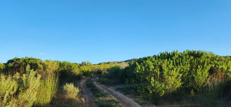 0 Bedroom Property for Sale in Albertinia Western Cape